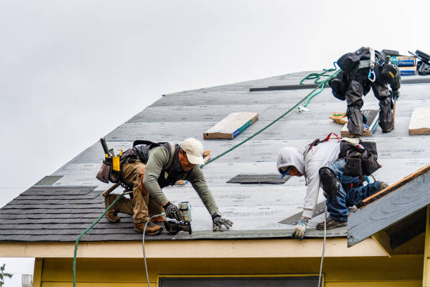 Professional Roof Replacement technician working in Elmwood, MA